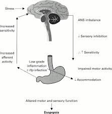 The Autonomic Nervous System In Functional Bowel Disorders Gut
