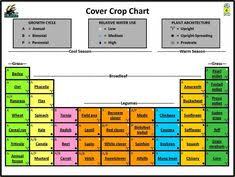 15 best cover crops images cover soil improvement corn plant