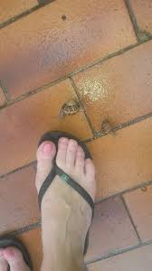 Natasha and andrew are travelling with this snail but haven't given it a name, so i suggest terence, after terence trent darby. Cecilia Crush Page Posts Facebook