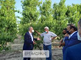 Check spelling or type a new query. Giannhs Oikonomoy Stoxos Mas Na Apozhmiw8oyn Egkaira Osoi Eplhghsan Apo Ton Pageto Binteo Ertnews Gr