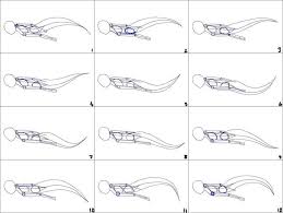 Mermaid Animation Cycle Google Search Frame By Frame Animation Animation Sketches Animation Storyboard