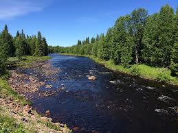 See more ideas about nature, sweden, swedish. Summer In Sweden Nature Scenery Amateur Sweden Harjed Flickr