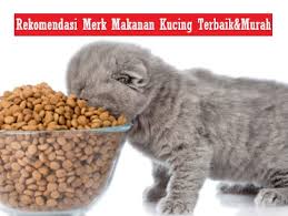 Tips memilih makanan untuk kucing kampung. 11 Harga Makanan Kucing Kampung Di Petshop Murah Meriah Beternakdirumah