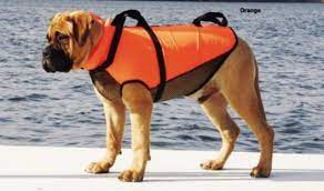 7 Best Life Jackets For Dogs Tips Reviews And Recommendations Dog Life Vest Dog Life Best Dogs