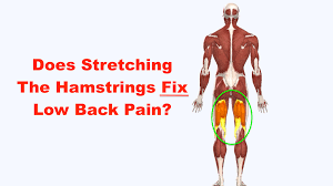 Hamstring strains are common in runners, and chronic hamstring tightness can easily arise in putting too much load on your hamstring causes the muscle injury, says jordan metzl, m.d., a. Does Stretching The Hamstrings Fix Low Back Pain Squat University