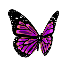 Play full screen, enjoy puzzle of the day and thousands more. Butterfly Gif With Transparent Background Novocom Top