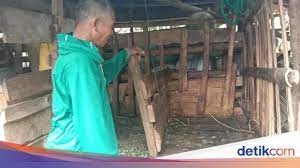Terbuat dari kulit macan keramat hasil penarikan gaib, kantong macan sangat cocok digunakan oleh para pemimpin, pejabat, tokoh masyarakat dan siapapun yang menginginkan suatu posisi, jabatan atau kekuasaan. Ternak Warga Kudus Mati Penuh Luka Kades Duga Diterkam Macan Tutul