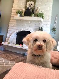 Did you say something about cheese?...