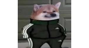 Doge price is up 2.3% in the last 24 hours. Cheems Doge In Adidas Tracksuit Memes Stayhipp