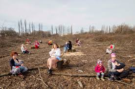 Manga mother hunting bahasa indonesia selalu update di mangadewasa. Mothers Vs Loggers The Destruction Of Bialowieza Forest Splits Poland