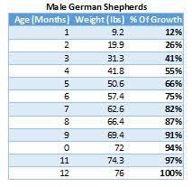 German Shepherd Weight Chart Gallery Of Chart 2019