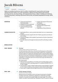 Professional resumes, traditional resumes, creative resumes Cv Template Education Cvtemplate Education Template Teacher Resume Template Teacher Resume Teacher Resume Examples