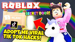 Maybe you would like to learn more about one of these? Testing Working Viral Tik Tok Hacks In Adopt Me Roblox Youtube
