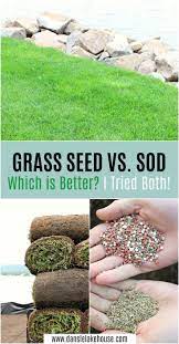 Grass Seed Vs Sod I Tried Both Dans Le Lakehouse Grass Seed Planting Grass Planting Grass Seed
