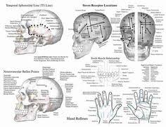 Oakley Outlet Cheap Oakley Sunglasses Up To 80 Off Kinesiology Chiropractic Acupuncture