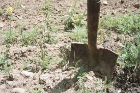 Comme ça, on pourra arroser notre jardin. Un Russe Se Fait Enterrer Vif Pour Tester Son Courage La Presse