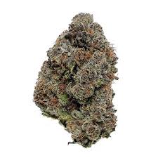 This dank bud is infamous for its insanely delicious flavor and hugely powerful effects that are fueled by a thc level that hits its low point at 20% on average. Buy Purple Gelato Strain Seeds Online Weed Seeds Usa