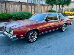 Image result for Chestnut 1973 Fury