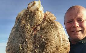 PIGVARFISKERI MED FØDDERNE