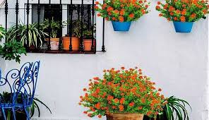 You can change the shape and design of the flowers whenever you want. 5 Best Outdoor Artificial Flowers In 2021 Top Collections