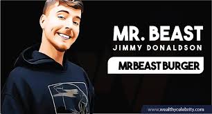 My basis for this is chandler and mr beast were wearing socks in the laser video. Mr Beast S Net Worth Age Height Girlfriend Logo And Wiki Wealthy Celebrity