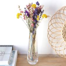 We did not find results for: Rainbow Brights Cut Dried Flowers Letterbox Gift Lisa Angel