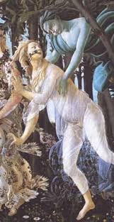 Image result for Chloris