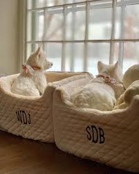 24 x 36 gusset 3 large: Pin On Snoozergram