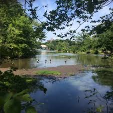 Clove Lake, Staten Island