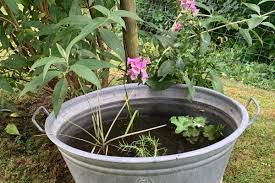 Miniteich anlegen mit der anleitung von hornbach: Miniteich Anlegen Garten Und Freizeit