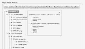 Intercompany Accounting Journals And Settlement Software