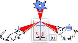 6,376 likes · 21 talking about this. Biological Applications Of Microchip Electrophoresis With Amperometric Detection In Vivo Monitoring And Cell Analysis Springerlink