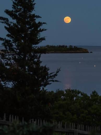 Stony Creek Blue Moon” Despite its namesake a full Blue Moon has nothing to  do with the actual color blue, but the fact that it is the second full moon  in a