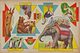 Picasa Web Albums Sabine Llorens At The Zoo Paper Dolls Paper Toys Paper Animals