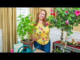 Check spelling or type a new query. How To Care For Hibiscus Home Family Youtube
