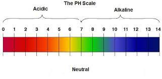 Natural Hair And Ph Balancing Natural Hair Blog Uk