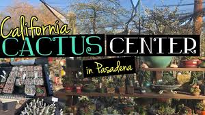 One in a thousand will actually. California Cactus Center In Pasadena Youtube
