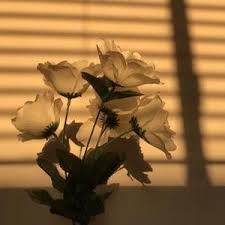 Maybe you would like to learn more about one of these? Xo Aesth Etic Ox Aesthetic Tiktok Profile