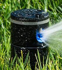 For more extensive lawns, the rotor heads are the best sprinkler heads. Irrigation Product Line Hunter Industries