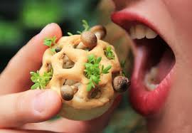 Any edible product that contains thc. Edible Growth 3d Printed Living Food That Grows Before You Eat It Colossal