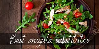 Proper air circulation and a small amount of moisture will keep your lettuce crisp and fresh. Arugula Substitute 5 Fresh Flavorful Ideas Foodiosity