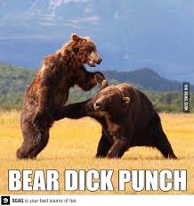 Boom In Ya Balls Funny Bears Funny Pictures Bones Funny