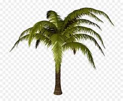 ✓ free for commercial use ✓ high quality images. Palm Oil Tree Png Download 800 726 Free Transparent Tree Png Download Cleanpng Kisspng