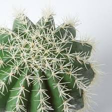 100+ vectors, stock photos & psd files. Golden Barrel Artificial Cactus In Textured Stone Grey Pot 38 Cm Tall