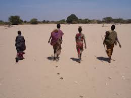 We did not find results for: Status Does Not Predict Stress Women In An Egalitarian Hunter Gatherer Society Evolutionary Human Sciences Cambridge Core