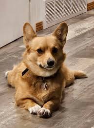 Saco. Disproving of photos since 2019.