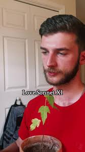 Neruda's Love Sonnet XI: A Poetic Exploration