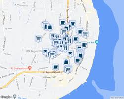 Image result for BALI Score