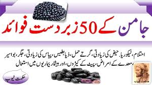 Jamun Ke Fayde Jamun Benefits In Urdu Hindi Jambul Benefits In Urdu Hindiجامن کے 50 زبردست فائدے Plum Nutrition Fruit Benefits Plum Benefits
