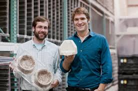 Podcast Founder Eben Bayer On Harnessing Mushroom Power To Eradicate Plastics Stuffed Mushrooms Packaging Start Up